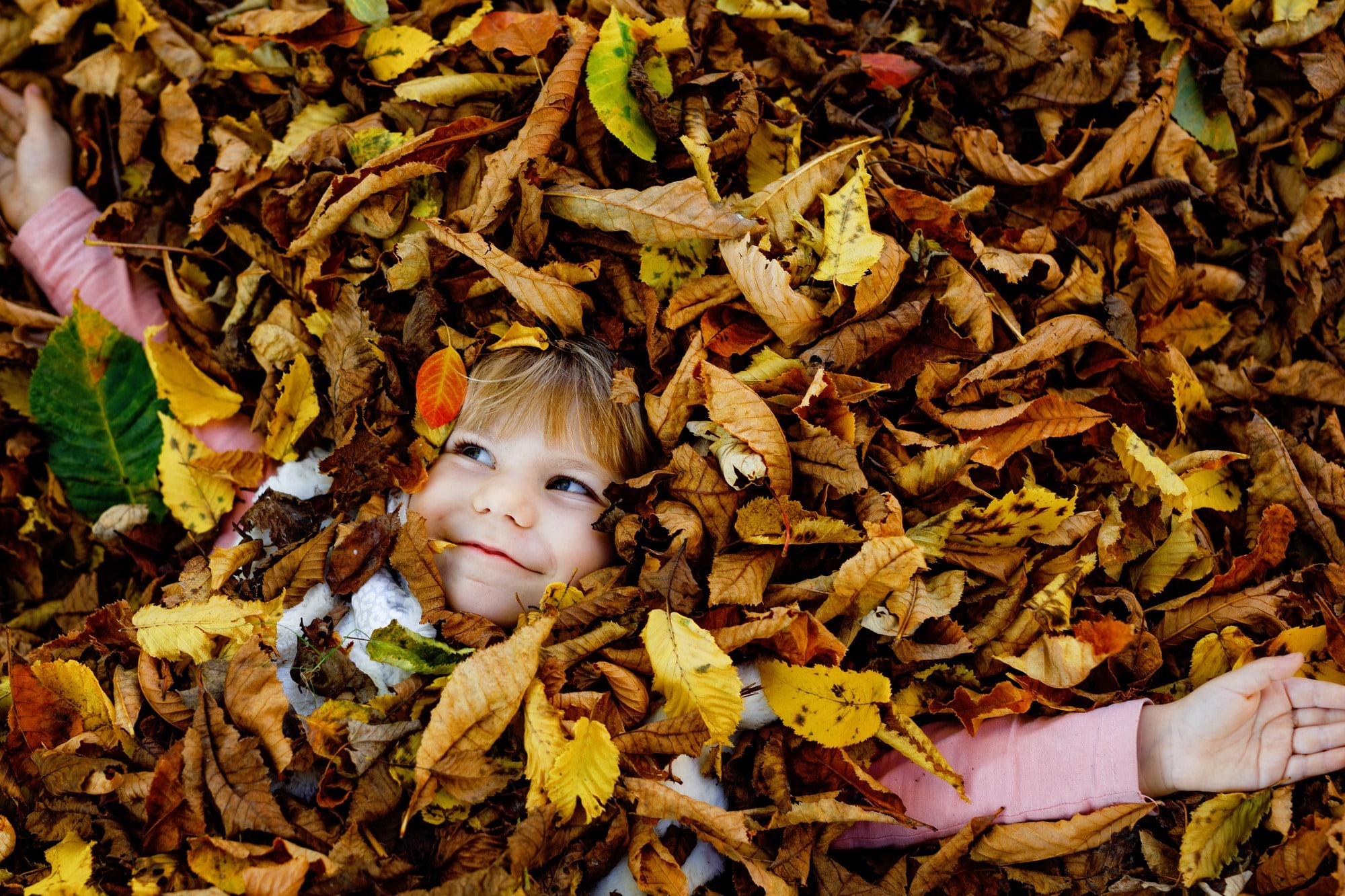 AdobeStock 624648288